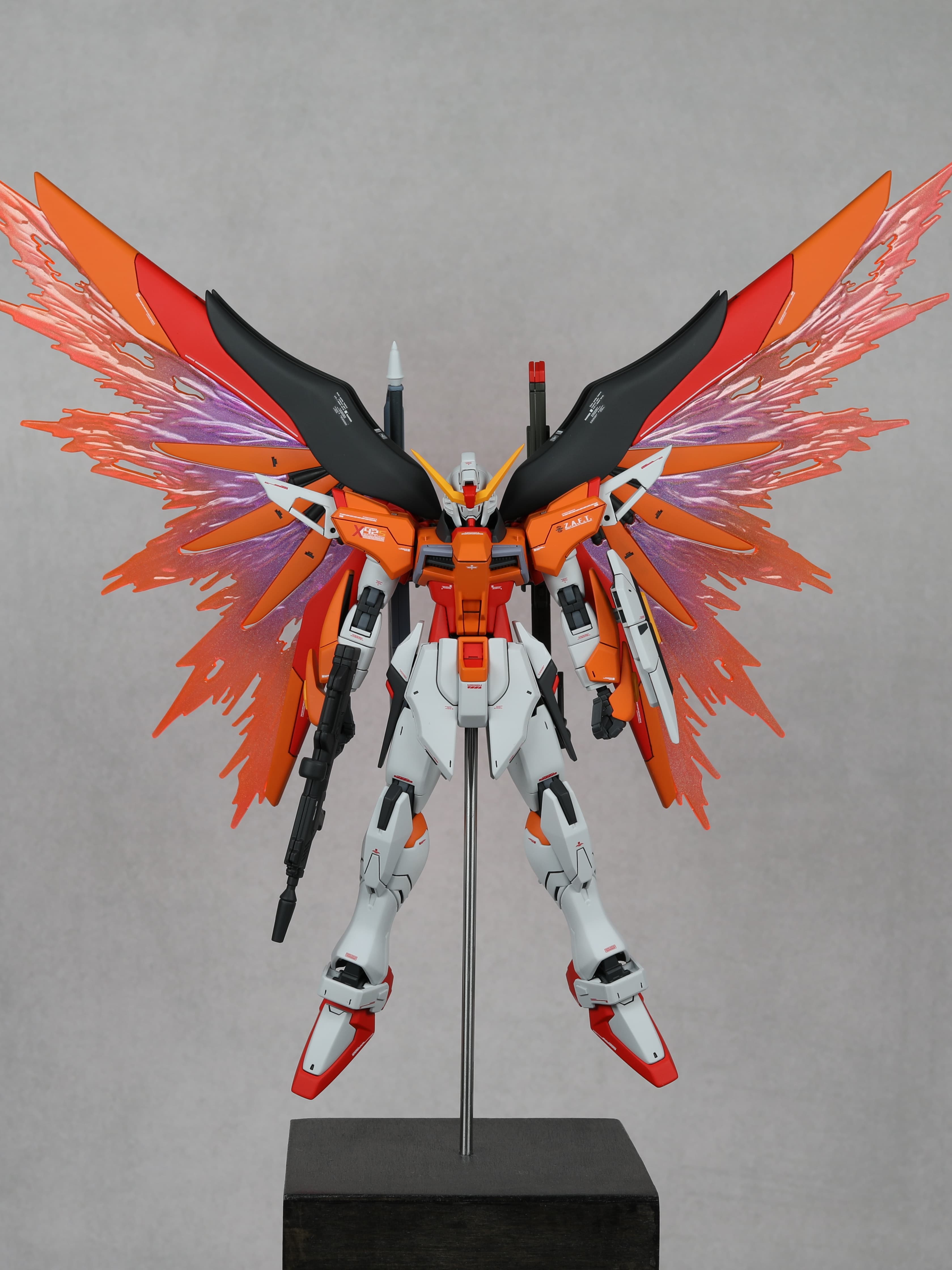 HG DESTINY GUNDAM 【HEINE】