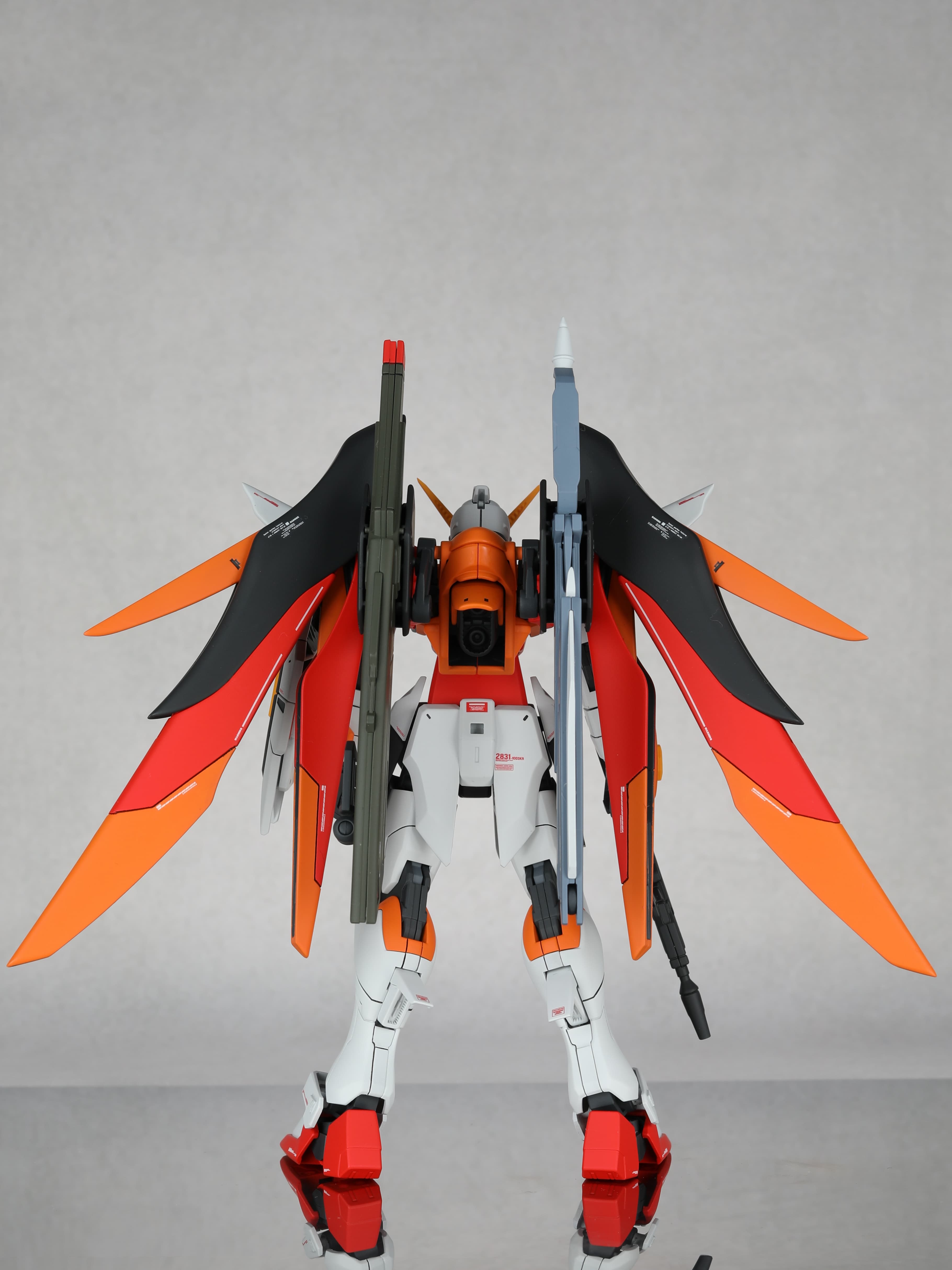 HG DESTINY GUNDAM 【HEINE】
