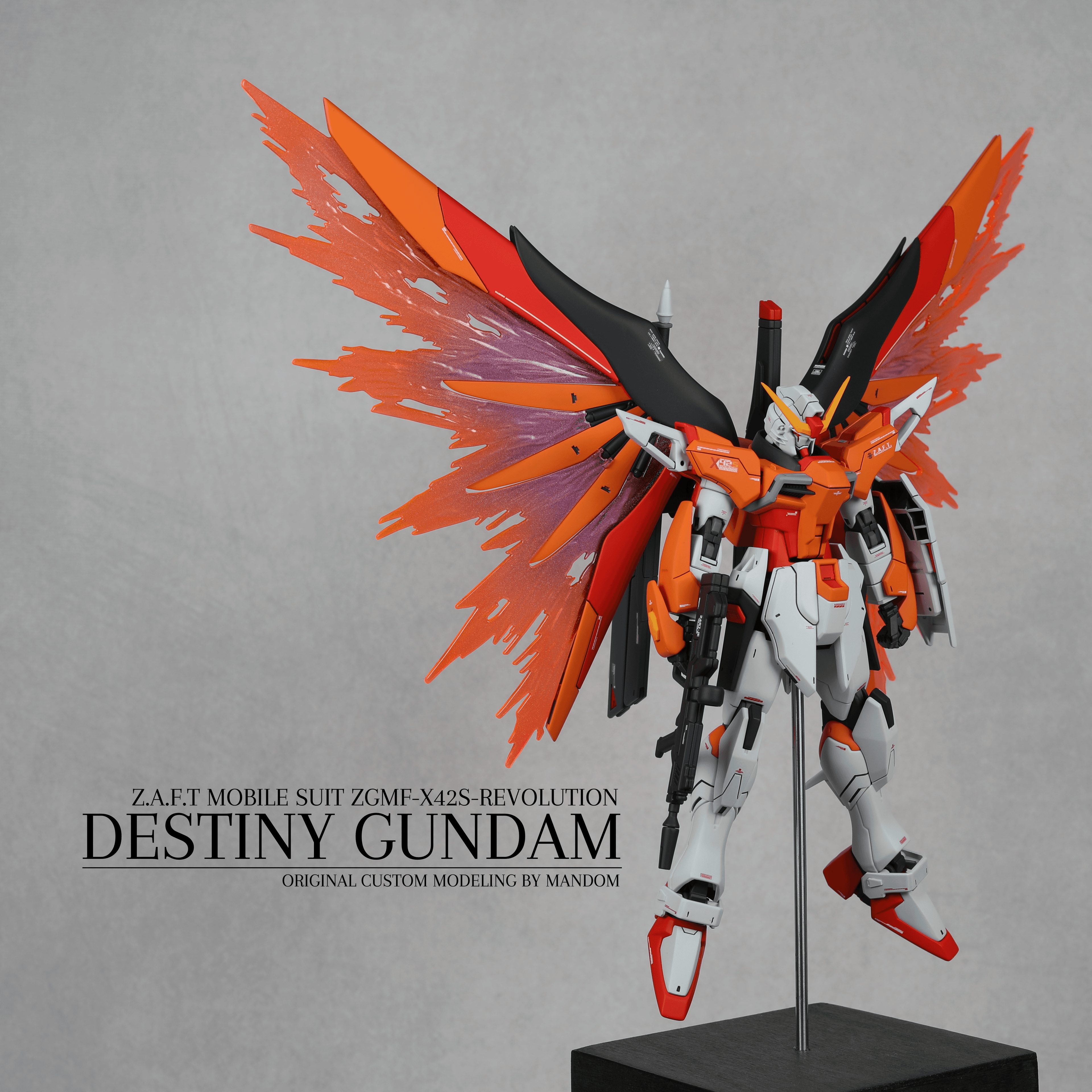 HG DESTINY GUNDAM 【HEINE】