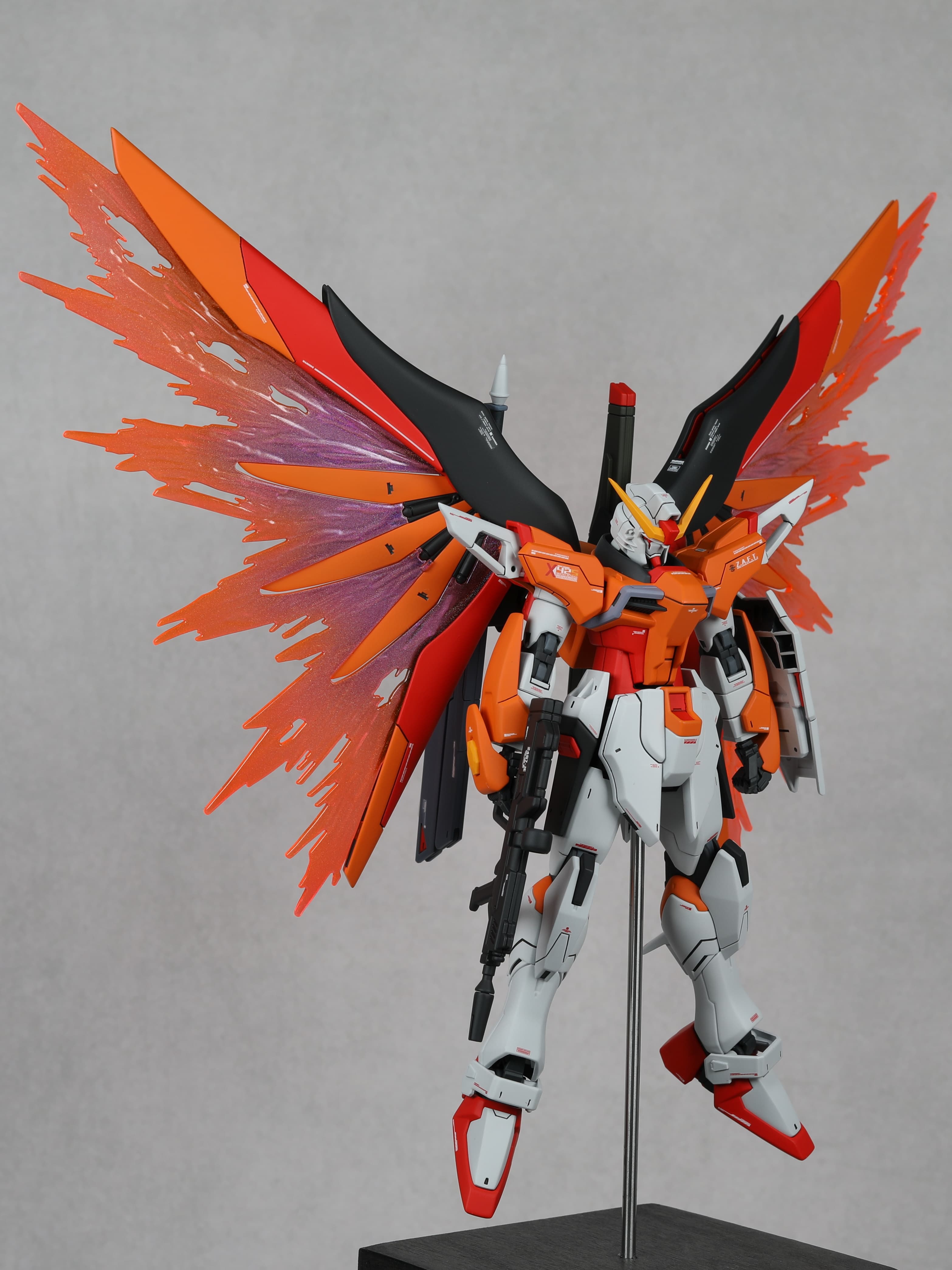 HG DESTINY GUNDAM 【HEINE】