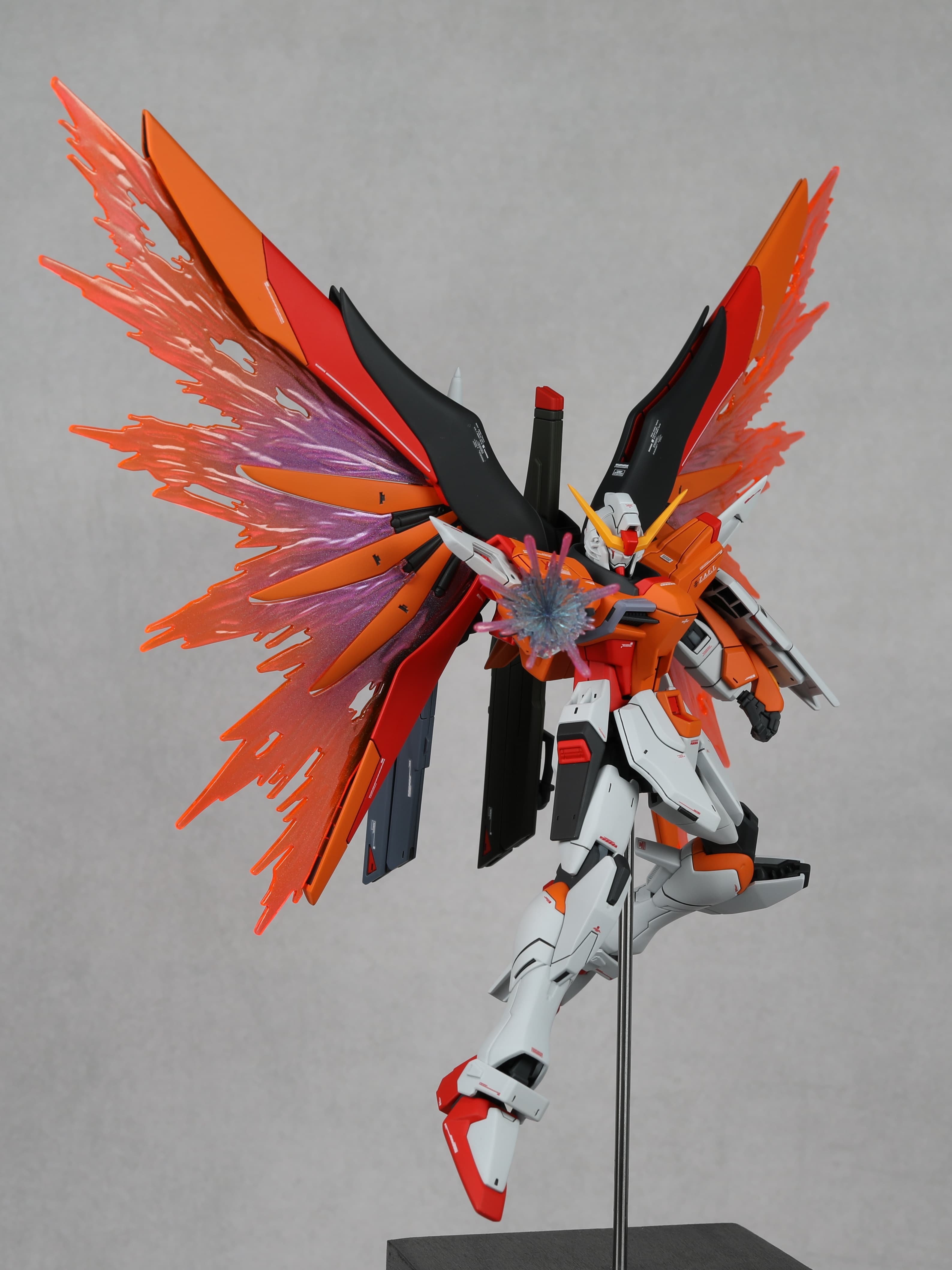 HG DESTINY GUNDAM 【HEINE】